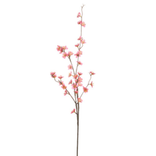  Blossom Branch